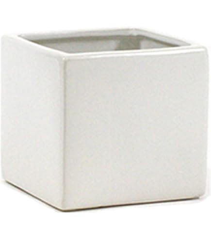 Amazon.com: WGV Ceramic Cube Vase Width 5.5